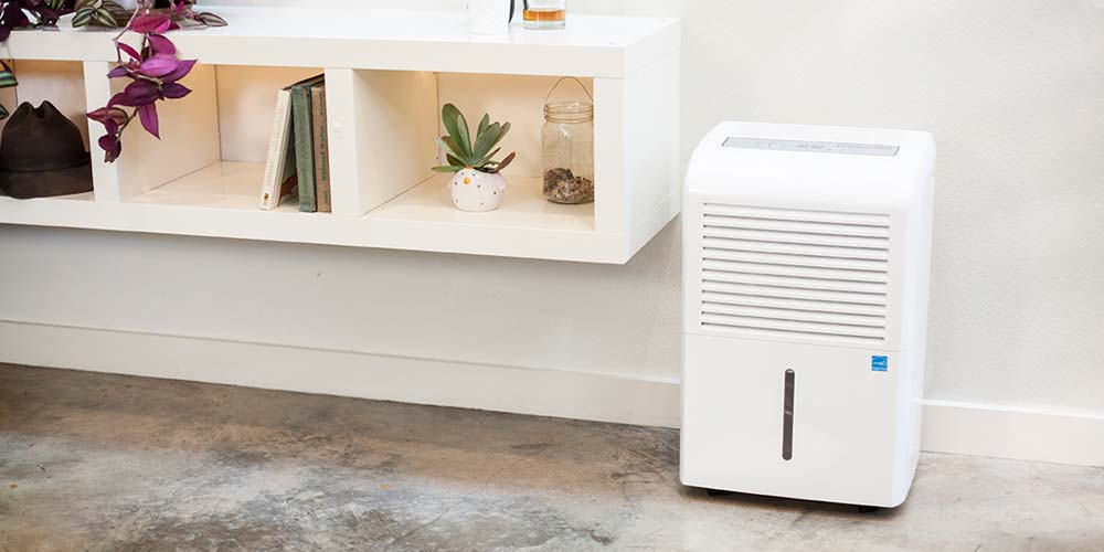 Does Your House Need an Air Purifier for Dust?
